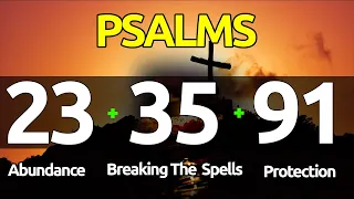 Psalms 23-35-91: THE ESSENTIAL PSALMS FOR ABUNDANCE, BREAKING SPELLS, AND PROTECTION.