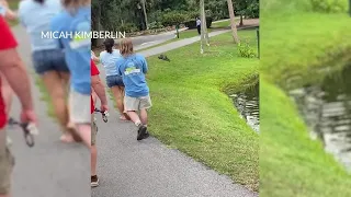 Alligator charges at fisherman on Hilton Head