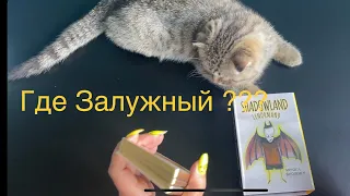 🤫 Где же Залужный?