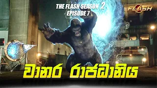 The Flash Season 2 Episode 7 Sinhala Review | The Flash S2 Tv Series Explain | Movie Review Sinhala