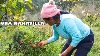 VENTAJAS DE VIVIR EN EL CAMPO | Señora Marianita