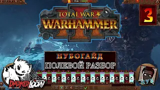 Total War WARHAMMER III, гайд, все что не нужно знать о стрелках, стрельбе, советы новичкам, часть 1