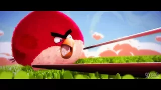 Angry Birds 3D Animation Test by Squeeze Studio Animation