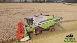 CLAAS TUCANO 450 + C600 | Weizen Dreschen | Harvest 2016