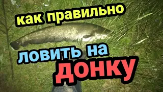 Ловля сома! Как правильно установить донку! Лайфхак!