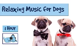 1 HOUR OF RELAXING DOG MUSIC! 1 Hora de Música Relajante Para Perros! 개를위한 음악 Calming Dog Music!