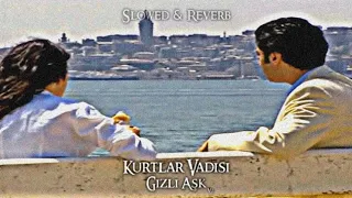 Kurtlar Vadisi - Gizli Aşk V2 (Slowed-Reverb)