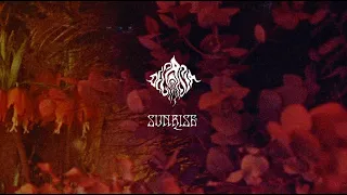 DECASIA // SUNRISE / Lyrics Video