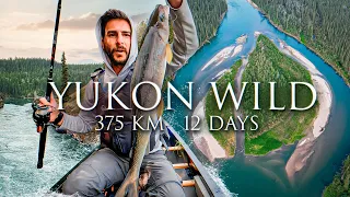 12-Day / 375km Solo Canoe Trip in the Yukon Wilderness | Part 3: Paradise
