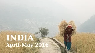 India. Kubhmela, Himalayas and Varanasi. 2016