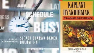 Kaplanı Uyandırmak - Peter A. Levine ve Ann Frederick - Şifacı Olarak Beden Bölüm 1-4 | Sesli Kitap