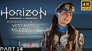 Horizon Forbidden West Walkthrough | Part 14 | Very Hard No Damage | The Eye of the Earth