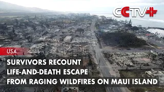 Survivors Recount Life-and-Death Escape from Raging Wildfires on Maui Island