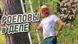 Поймали первые РОИ, необычное ЗАСЕЛЕНИЕ