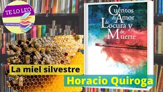 HORACIO QUIROGA - LA MIEL SILVESTRE - Audio cuento leído por Andrea Butler Tau