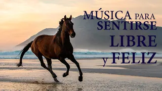 Musica Instrumental para Una Mente Libre y Feliz ¡FEEL FREE!