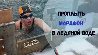 Что будет, если проплыть 400 м в ледяной воде | Соревнования по зимнему плаванию