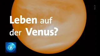 Forscher entdecken mögliche Hinweise auf Leben in Venus-Atmosphäre