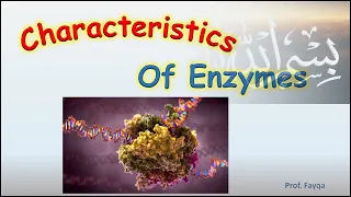 Characteristics Of Enzymes class 11