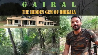 #experience the #jungle of Gairal in #dhikala zone of #corbettnationalpark  | #junglesafari #wild