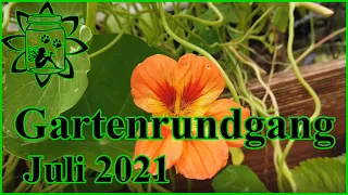 Gartenrundgang Juli 2021 | Gemüsegarten | Tomaten im Regen | Nasser Sommer | Garten im Juli