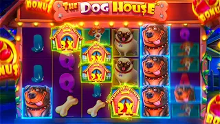 THIS PERFECT DOG HOUSE SETUP PAID INSANE PROFIT... (Bonus Buys)