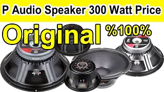 15 Inch Speaker Price ||  P Audio 300 Watt Speaker Price 2023 || P Audio 200 Watt P Audio 15 Inch