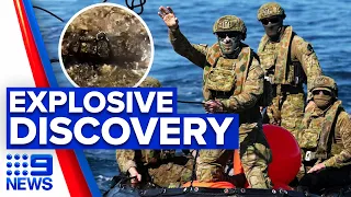 Fisherman discovered unexploded bomb off Lord Howe Island | 9 News Australia