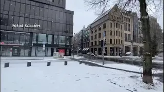 Düsseldorf city| beautiful city tour | snowy days.