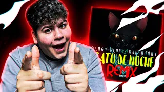 REACCIÓN a Ñengo Flow x Bad Bunny - Gato de Noche [Official Video]