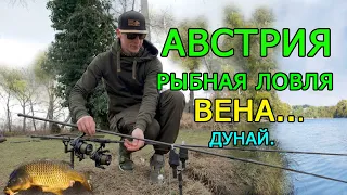 Австрия. Вена. Поймать рыбу в Дунае...Сколько стоит?..