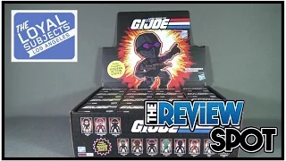 Collectible Spot - The Loyal Subjects G.I.JOE Action Vinyls CASE OPENING!