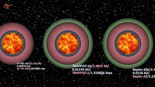 Exoplanets Settle Down in Our Solar System: Cosmic Migration