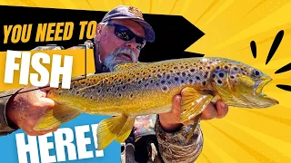 Your PERSONAL Invitation To The BEST Trout Fishing Of Your Life!