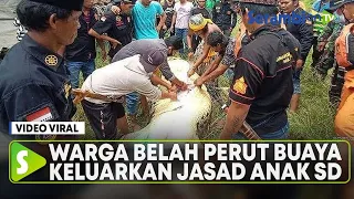 Detik-detik Warga Belah Perut Buaya Muara dan Keluarkan Jasad Utuh Anak 8 Tahun