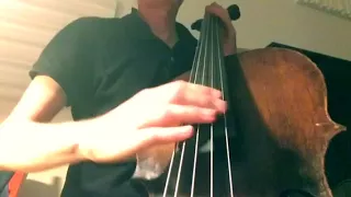 johannes fink, cello, pannonica(monk)