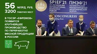 В ТОСЭР «ЕФРЕМОВ» появится крупнейшее производство по переработке мясной продукции в России