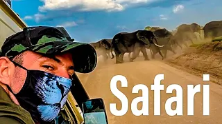 Safari u Africi | Kenija