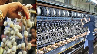 Preparation Of Silk Thread From Cocoon