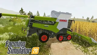 Farming simulator 20 | corn Hearvesting | Gaming onus | timelapse. #fs22 #Fs20