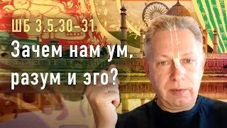 2022-04-29 - ШБ 3.5.30-31 - Зачем нам ум, разум и эго?