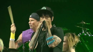 Red Hot Chili Peppers - Intro + Can't Stop (live Torino 11-10.2016) MULTICAM HD