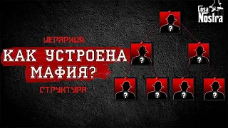 КАК УСТРОЕНА МАФИЯ? | СТРУКТУРА И ИЕРАРХИЯ | ОТ СОЛДАТА ДО БОССА