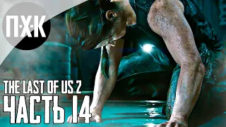 Прохождение The Last of Us 2 — Часть 14: Одни из нас 2 / Сложность: Реализм