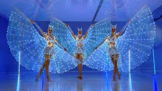 GLOW FOX | Light Butterflies, Light show for wedding, Led show in Dubai, Pixel show, UAE