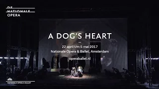 A Dog's Heart | Early rehearsals | Complicite