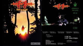 Faithful Breath - Back On My Hill (Germany Symphonic Prog 1980)