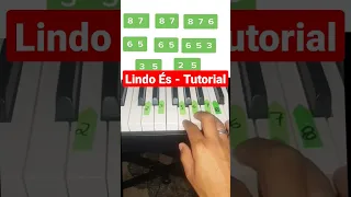 Lindo És 🙏🎶 - Tutorial Piano #shorts #piano #gospel