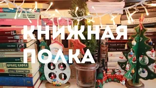 КНИЖНЫЕ ПОЛКИ №3 || ЛЮБИМАЯ