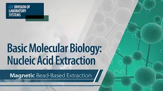 Basic Molecular Biology: Nucleic Acid Extraction – Magnetic Bead-Based Extraction